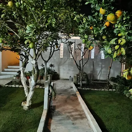 Ginjals-67 * Almargem